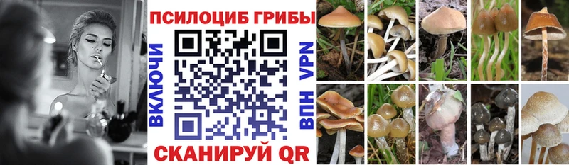 Псилоцибиновые грибы MAGIC MUSHROOMS  Каневская 